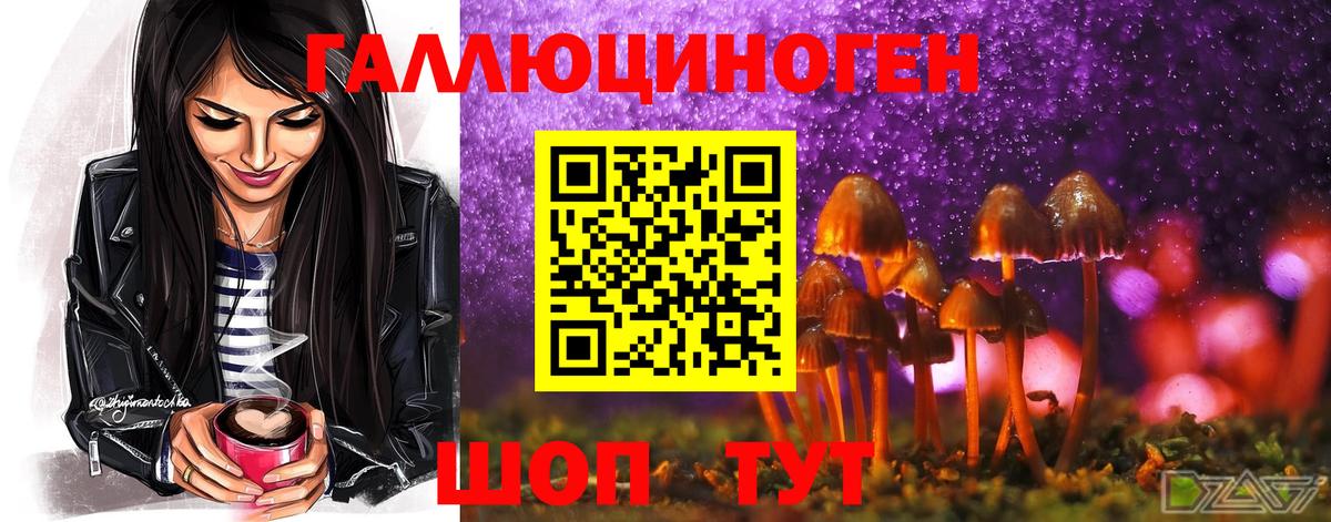 Галлюциногенные грибы ЛСД  Галлюциногенные грибы Psilocybine cubensis  Вход с VPN  Мыски 