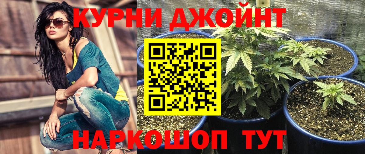 Шишки марихуана Bruce Banner  Бошки марихуана гибрид  Мыски  Вход с VPN 